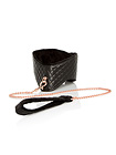 Entice Posture Collar with Leash