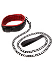 Saffron Leash & Collar