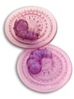 Breast Stimulator Lavender
